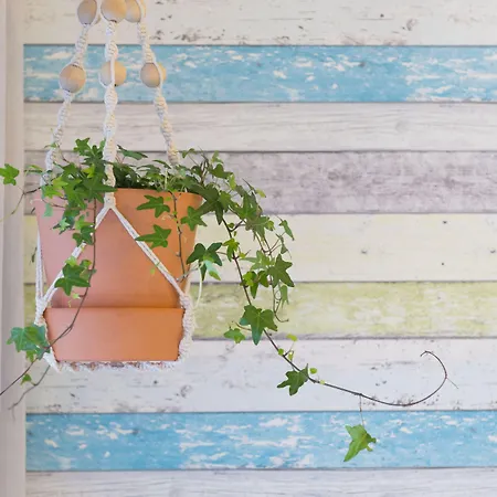 ホーム スウィート プライア * ナザレ