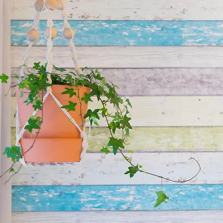 Apartamento Sweet Nazaré